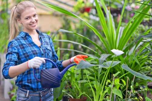 Garden maintenance work in a Southfields residential garden