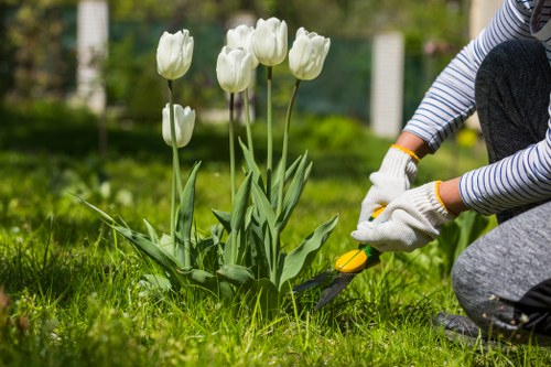 Professional landscapers improving a Southfields property with planting and hard landscaping