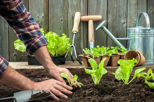 Lawn mowing service for Southfields homes with neat garden finishes