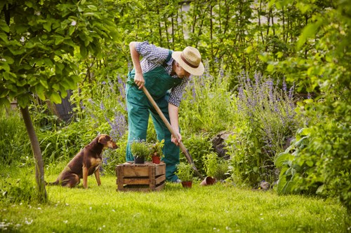 Local landscaping work improving access and privacy