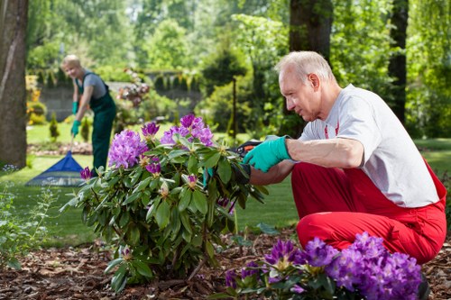 Local flower bed creation service for Southfields homes and businesses