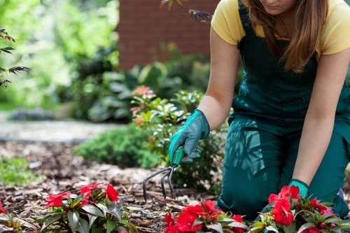 Marketing preference controls for a landscaping service website