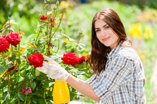 Professional hedge trimming and lawn care in Southfields