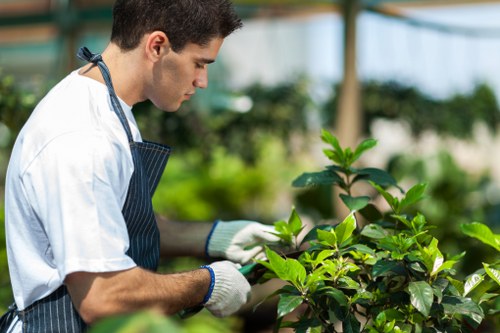Commercial landscaping in Southfields for a neat and welcoming business frontage