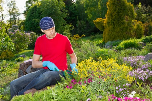 Inclusive website access message for Southfields landscaping users