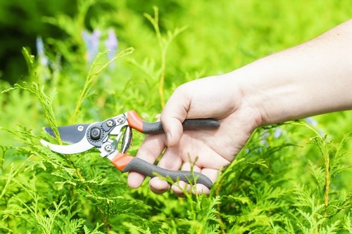 A local team carrying out seasonal lawn care in Southfields with practical access planning