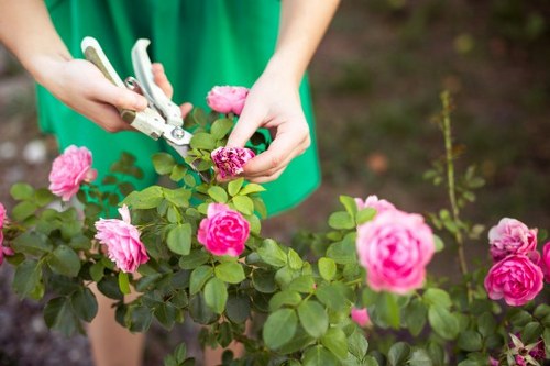 Safe online payment options for landscaping services