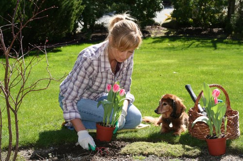 Professional landscaping work in a Southfields garden redesign