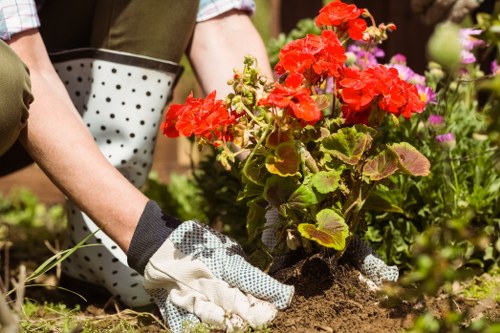 Keyboard navigation focus on a landscaping services page