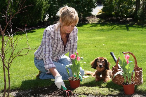 Supervisor reviewing safety procedures during landscaping operations