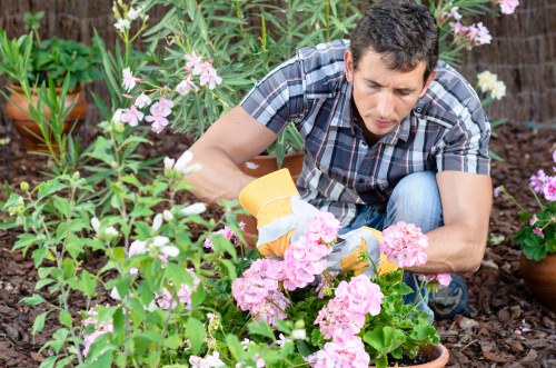 Regular lawn care for a Southfields family garden and outdoor space