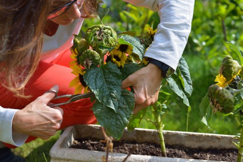 Professional landscapers planning a garden layout in Southfields